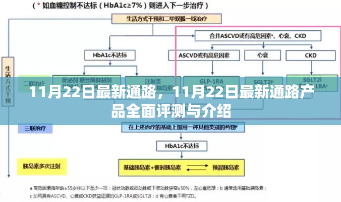 11月22日最新通路产品全面评测与介绍，最新通路产品一览