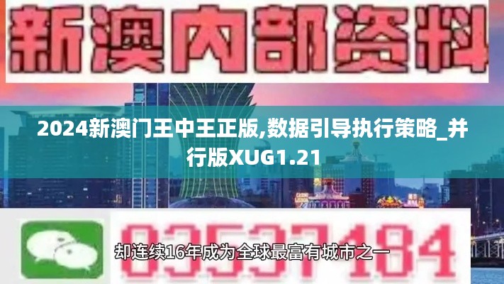 2024新澳门王中王正版,数据引导执行策略_并行版XUG1.21