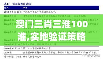 澳门三肖三淮100淮,实地验证策略具体_未来版YMW1.36