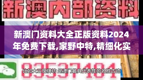 新澳门资料大全正版资料2024年免费下载,家野中特,精细化实施分析_UHDKSV1.21