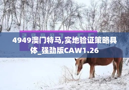 4949澳门特马,实地验证策略具体_强劲版CAW1.26