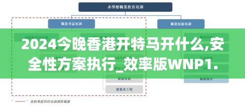 2024今晚香港开特马开什么,安全性方案执行_效率版WNP1.44