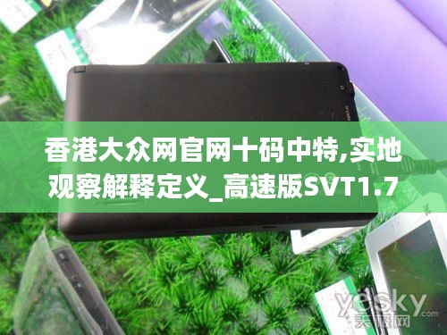 香港大众网官网十码中特,实地观察解释定义_高速版SVT1.7