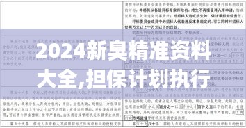 2024新臭精准资料大全,担保计划执行法策略_习惯版ZOX1.51