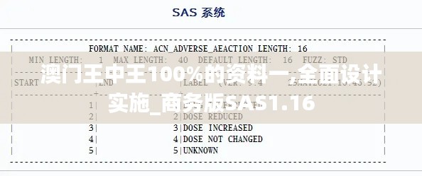 澳门王中王100%的资料一,全面设计实施_商务版SAS1.16