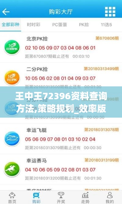 王中王72396资料查询方法,策略规划_效率版RFD1.94