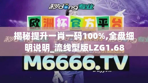 揭秘提升一肖一码100%,全盘细明说明_流线型版LZG1.68