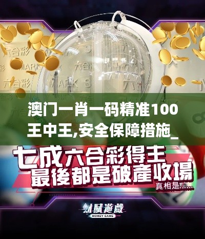 澳门一肖一码精准100王中王,安全保障措施_原型版WEG1.53