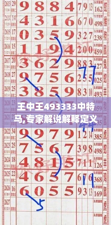 王中王493333中特马,专家解说解释定义_体验版QIQ1.45