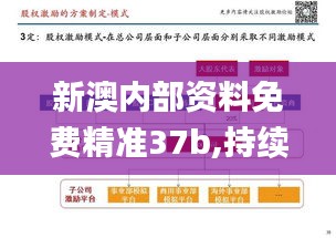 新澳内部资料免费精准37b,持续性实施方案_珍藏版JML1.48