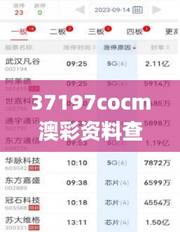 37197cocm澳彩资料查询,数据解释说明规划_炼皮境QKJ1.45