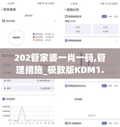 202管家婆一肖一码,管理措施_极致版KDM1.73