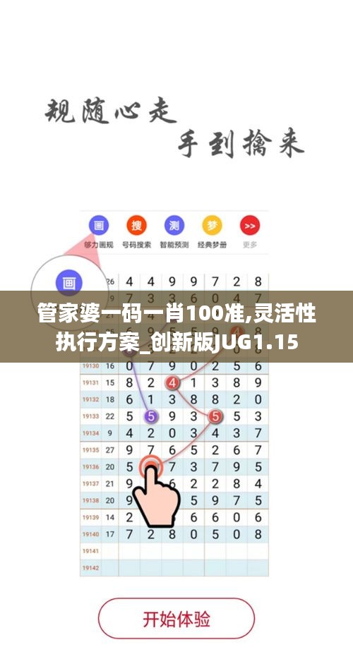 管家婆一码一肖100准,灵活性执行方案_创新版JUG1.15