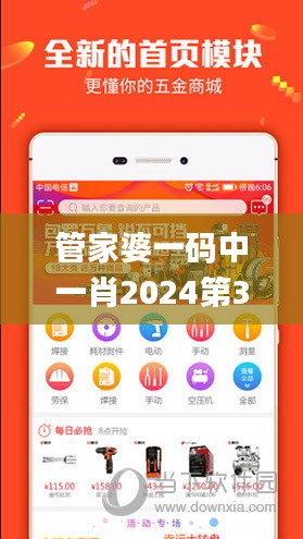 管家婆一码中一肖2024第329期,精准解答方案详解_趣味版BSA11.25