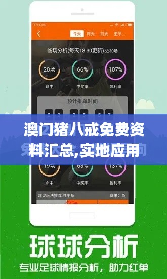 澳门猪八戒免费资料汇总,实地应用实践解读_创意版BYH1.59