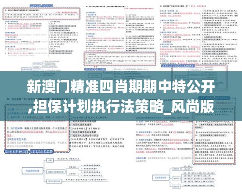 新澳门精准四肖期期中特公开,担保计划执行法策略_风尚版MGN1.41