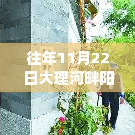 大理河畔阳光下的励志新篇章，学习变化，自信成就梦想历年回顾