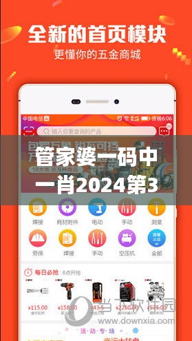 管家婆一码中一肖2024第332期,高度协调实施_多维版SJC11.69