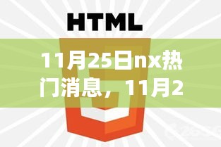 11月25日NX热门消息大揭秘，最新趋势与热点事件全览