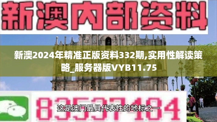 新澳2024年精准正版资料332期,实用性解读策略_服务器版VYB11.75