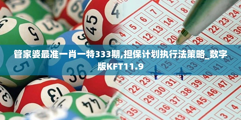 管家婆最准一肖一特333期,担保计划执行法策略_数字版KFT11.9