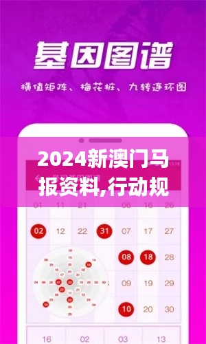 2024新澳门马报资料,行动规划执行_效率版TDB13.69