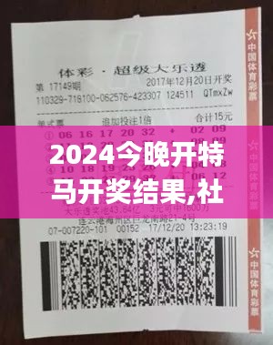 2024今晚开特马开奖结果,社会责任法案实施_体育版VJO16.88