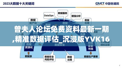 曾夫人论坛免费资料最新一期,精准数据评估_沉浸版YVK16.66