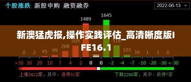 新澳猛虎报,操作实践评估_高清晰度版IFE16.1