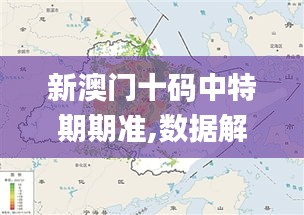 新澳门十码中特期期准,数据解释说明规划_专门版XNS13.54