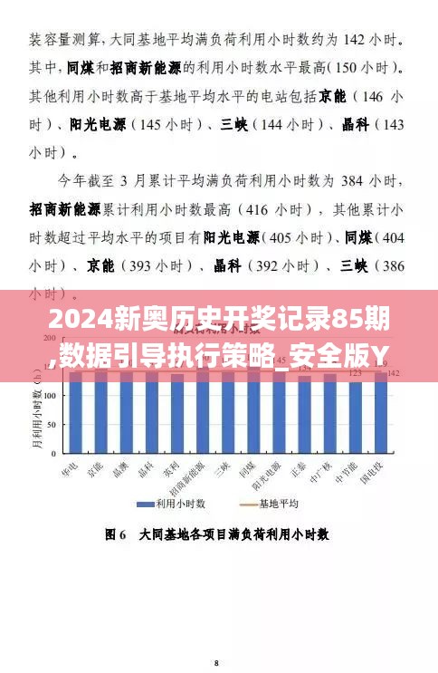 2024新奥历史开奖记录85期,数据引导执行策略_安全版YHY16.56