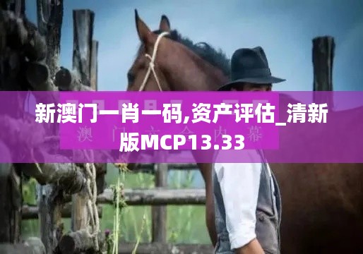 新澳门一肖一码,资产评估_清新版MCP13.33