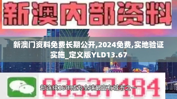 新澳门资料免费长期公开,2024免费,实地验证实施_定义版YLD13.67