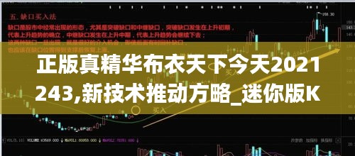 正版真精华布衣天下今天2021243,新技术推动方略_迷你版KPQ16.33