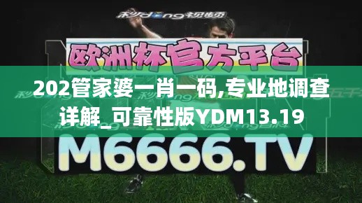 202管家婆一肖一码,专业地调查详解_可靠性版YDM13.19