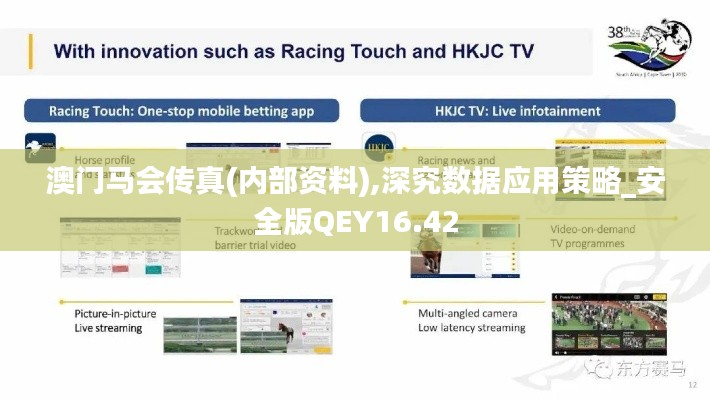 澳门马会传真(内部资料),深究数据应用策略_安全版QEY16.42