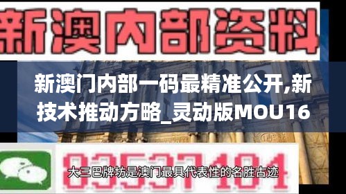 新澳门内部一码最精准公开,新技术推动方略_灵动版MOU16.82