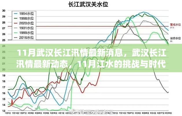 武汉长江汛情最新动态，江水挑战与时代印记的交汇点