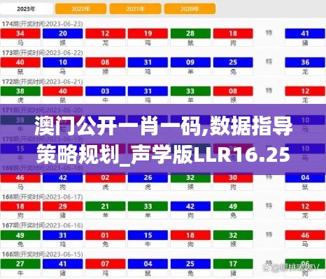 澳门公开一肖一码,数据指导策略规划_声学版LLR16.25