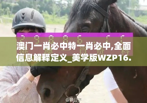 澳门一肖必中特一肖必中,全面信息解释定义_美学版WZP16.77