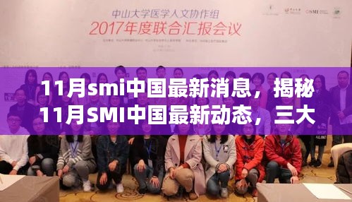 揭秘三大要点，最新SMI中国动态深度解析（最新消息）