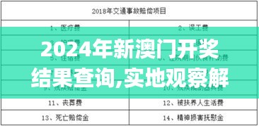 2024年新澳门开奖结果查询,实地观察解释定义_钻石版CLZ13.93