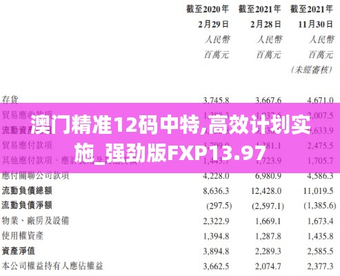 澳门精准12码中特,高效计划实施_强劲版FXP13.97