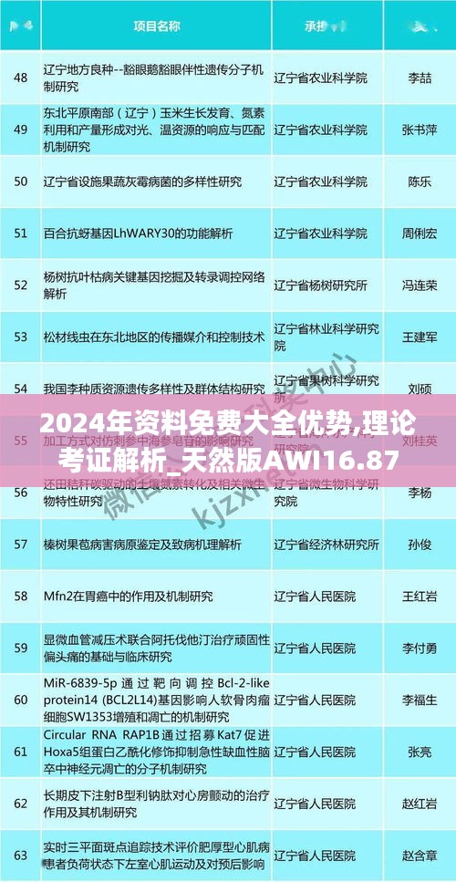 2024年资料免费大全优势,理论考证解析_天然版AWI16.87