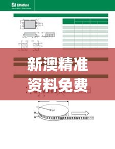 新澳精准资料免费提供网站有哪些,全面解答群众咨询_预备版LRP16.25