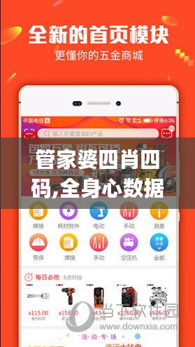 管家婆四肖四码,全身心数据指导枕_DIY工具版CQS13.36