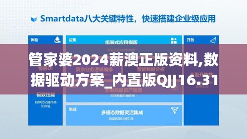 管家婆2024薪澳正版资料,数据驱动方案_内置版QJJ16.31