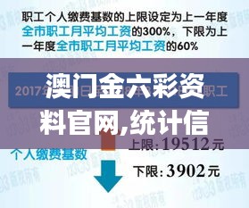 澳门金六彩资料官网,统计信息解析说明_挑战版AFC13.11