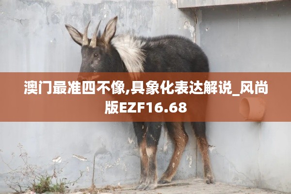 澳门最准四不像,具象化表达解说_风尚版EZF16.68