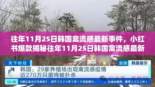 揭秘往年11月25日韩国禽流感最新事件，小红书爆款揭示事件内幕！